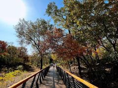 -白水寺森林公园