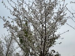 -红星国际广场