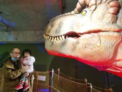 -恐龙探索乐园(磁器口店)