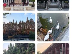 -苏州文庙(姑苏区)