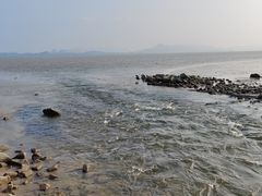 -深圳湾公园(南山区)