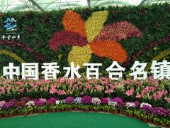 景点-万顷园艺世界