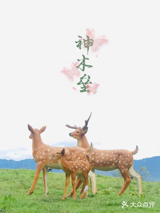 硗碛藏寨·神木垒景区图片