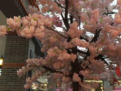 -茶与花间(太平洋森活天地店)