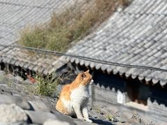 -前叁門