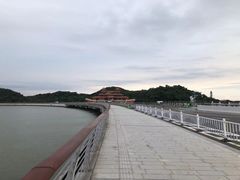 -野狸岛