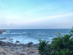 -广东惠东海龟国家级自然保护区