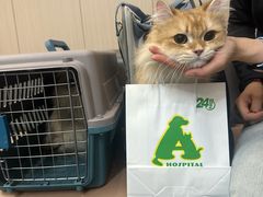 -半岛宠物医院24小时(科华中路店)