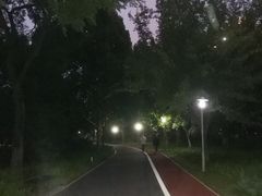 -望湖公园