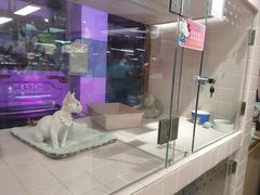-FAELING PETS美天灵宠物(富力广场店)