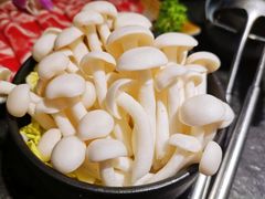 -新草堂锅物料理(泉城路店)