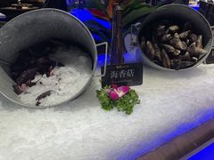 -加餐海鲜自助(宝龙一城店)