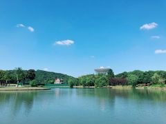 -上海佘山世茂艾美酒店