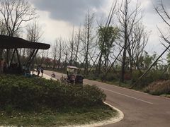 -白鹭湾湿地公园