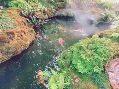 -Chom Cafe and Restaurant