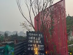 -重庆平顶山公园