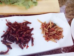 -慢丽江·云南野生菌土鸡锅(西山店)