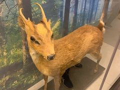 -下渚湖国家湿地公园科普馆