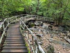 -香炉山国家森林公园