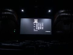 -天幕新彩云国际影城(激光巨幕店)