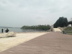 -宝安西湾红树林湿地公园