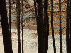 -星巴克臻选(深圳华强北茂业店)