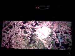 -CGV影城(梅江ScreenX店)