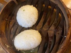 茨毛圆子-双塔老饭店