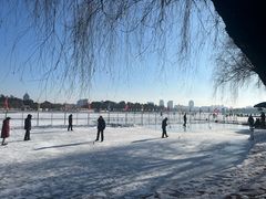 -长春市南湖公园