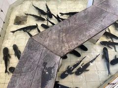 -春盛渔府(牛首山店)
