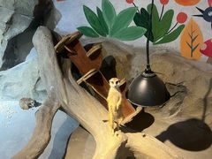 -绿色星球动物主题公园