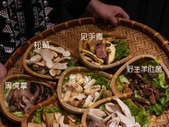 -滇野云南野生菌餐厅(陕西南路店)