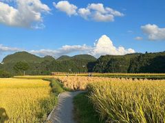 -八卦田遗址公园