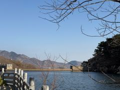 -万达广场(济南高新店)