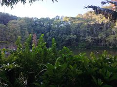 -深圳仙湖植物园