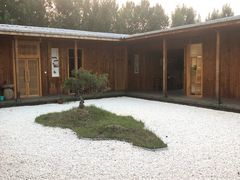 -午后庭院