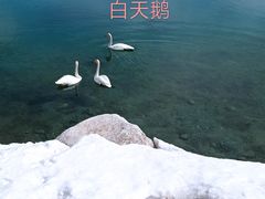 -赛里木湖风景名胜区