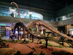 -自贡恐龙博物馆