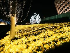 -南京眼步行桥