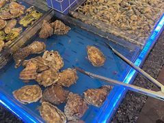 -船歌·鱼水饺青岛菜(正阳路店)