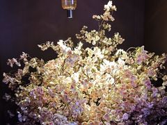 -水云阁·5D影院足浴·SPA(高新店)