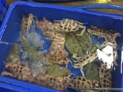 -幸福姐海鲜大排档