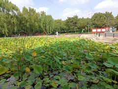 -黛秀湖公园