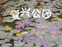 -复兴公园
