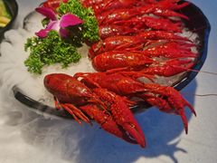 -红盔甲·小龙虾(天钥桥店)