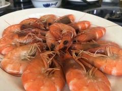 -蚝专家
