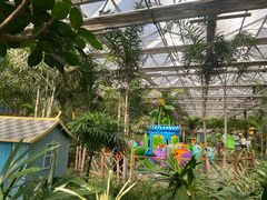 -南宫五洲植物乐园