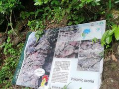 -海口火山口国家地质公园
