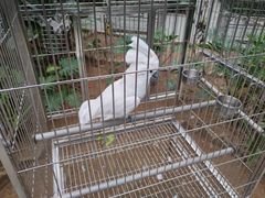 -南宫五洲植物乐园