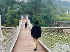 -铁山坪森林公园